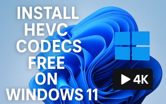 hevc-codec-install