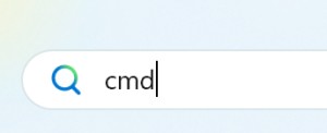 type-cmd