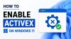enable-activex-windows-11