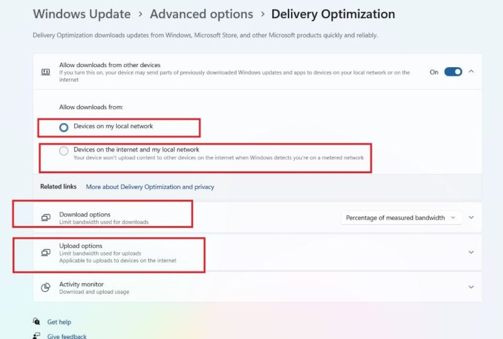 delivery-optimisation-option