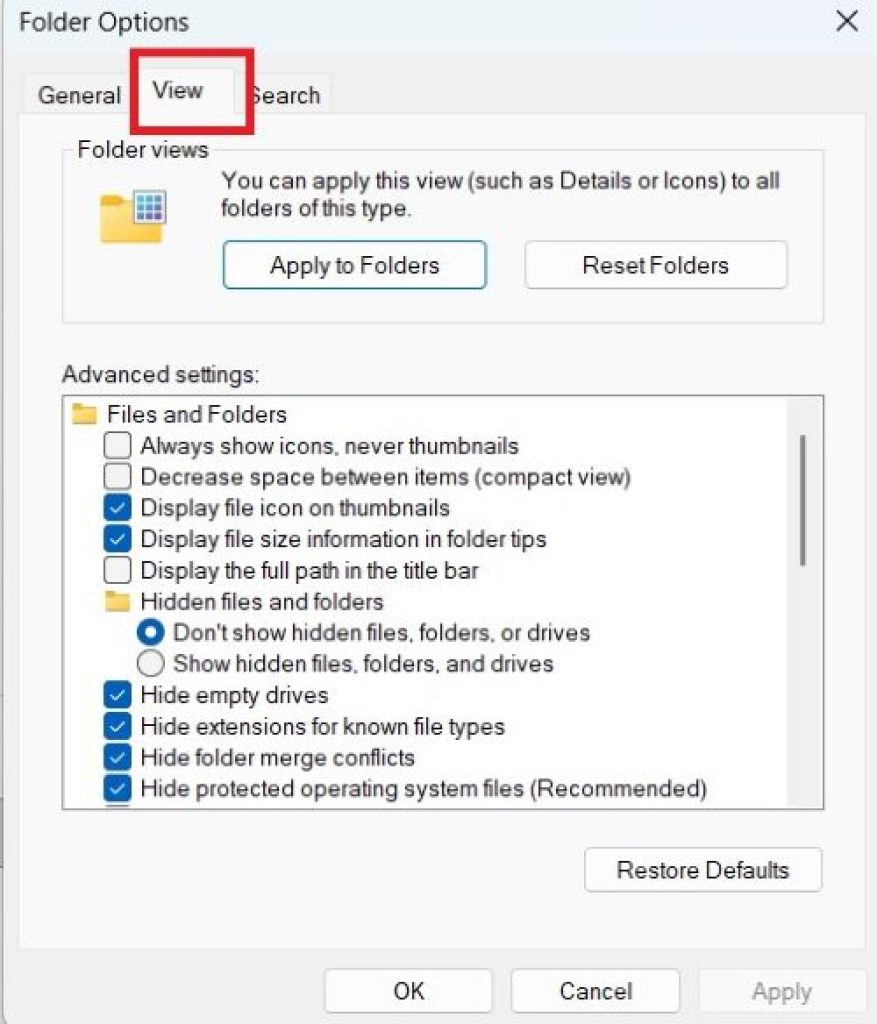 file-explorer-folder-options-view