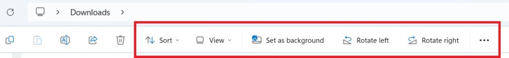 file-explorer-view-type