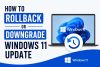 rollback-downgrade-update-windows-11