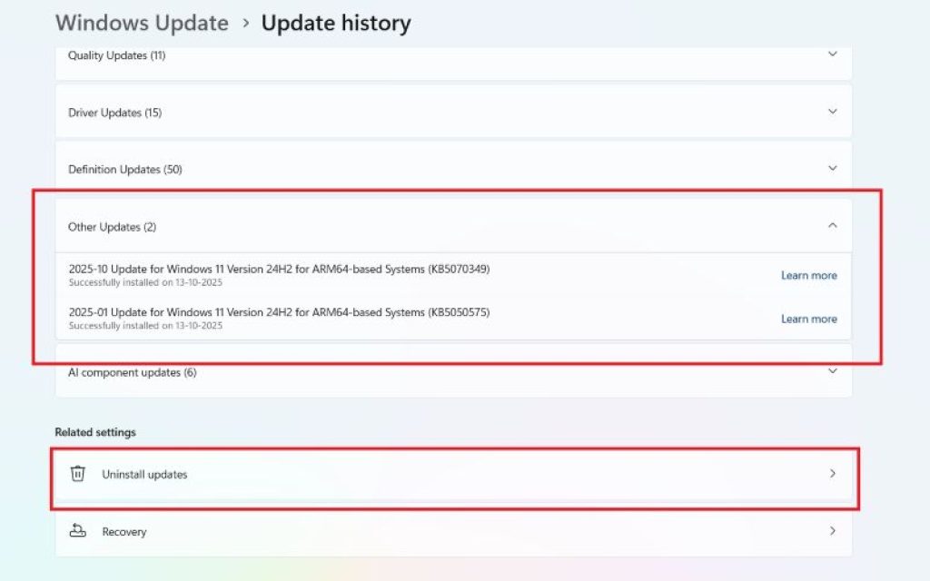 windows-update-history-options