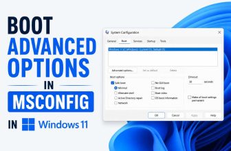 Boot Advanced Options in MSCONFIG in Windows 11