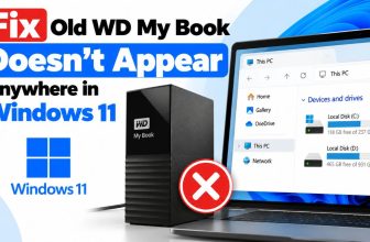 Fix Old WD My Book Doesn't Appear Anywhere in Windows 11