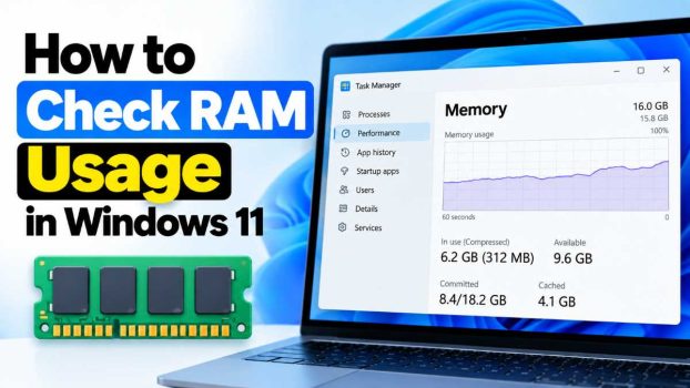 How to Check RAM Usage in Windows 11