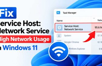 service-host-high-network-issue