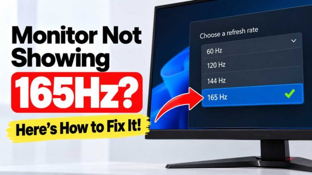 Fix Monitor Not Showing 165Hz