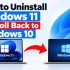Fix Google Chrome Causing Black Screen [Windows 11/10]