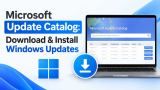 Microsoft Update Catalog: Download & Install Windows Updates