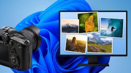 10 Best Photo Organizers for Windows 11
