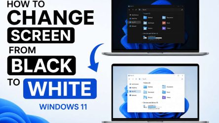 How to Change Screen from Black to White in Windows 11