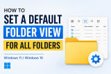 How to Set a Default Folder View for All Folders in Windows 11/10